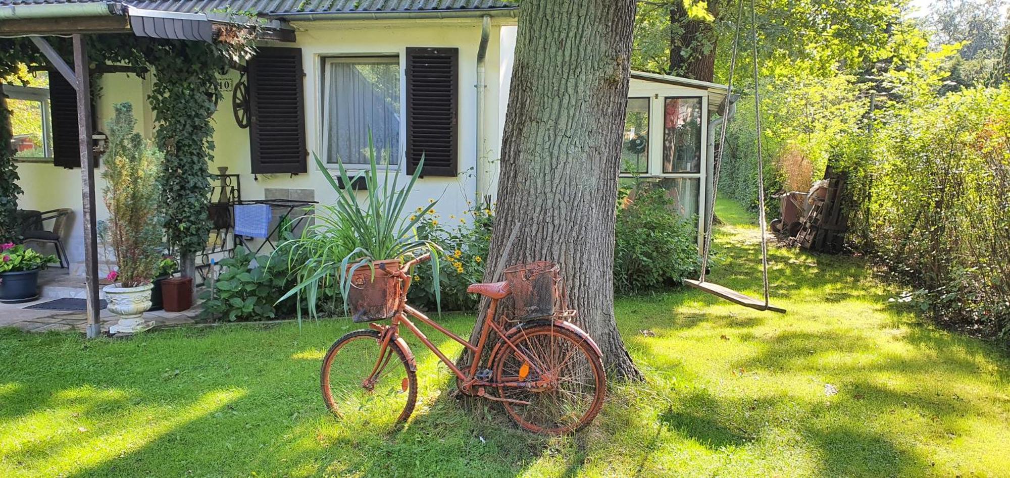 Ferienhaus Schatz Siedlung Schonwalde 외부 사진